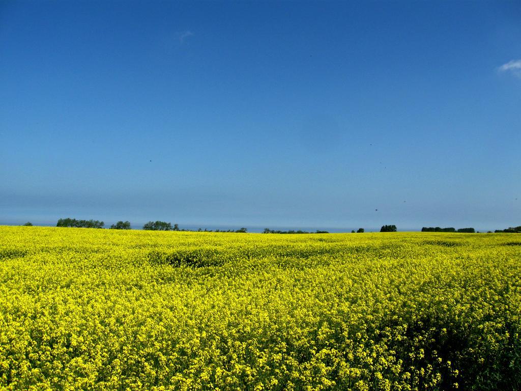 Sommerloft Rerik Dış mekan fotoğraf